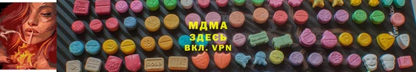 твердый Гусев