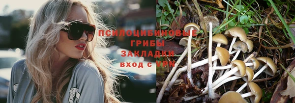 МДПВ Дмитровск