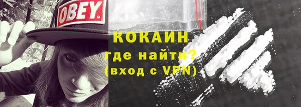 сатива Гусь-Хрустальный
